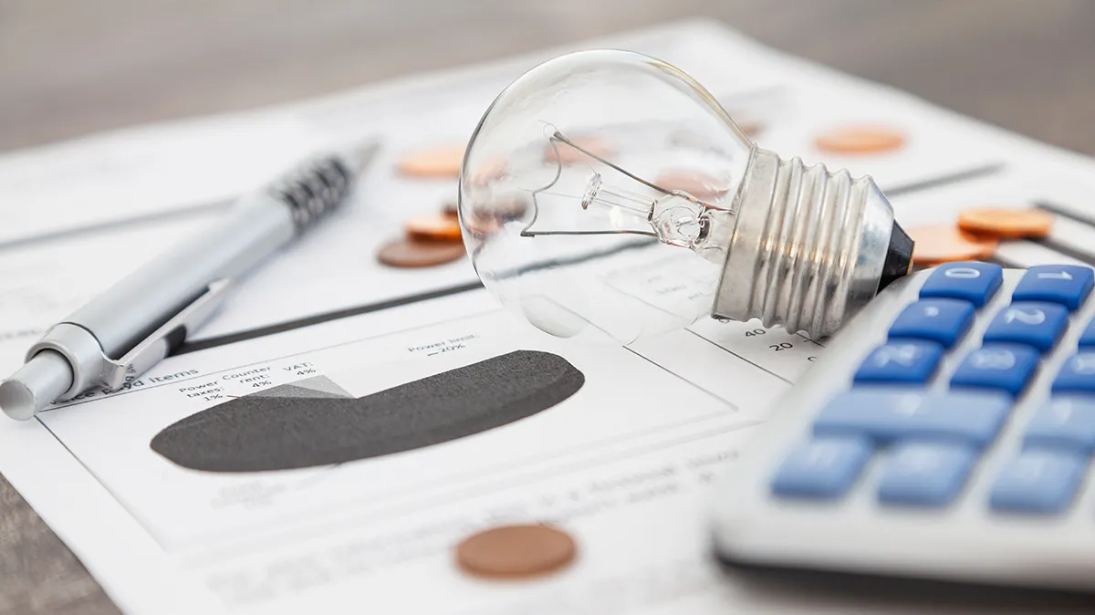 pret la energie 2025